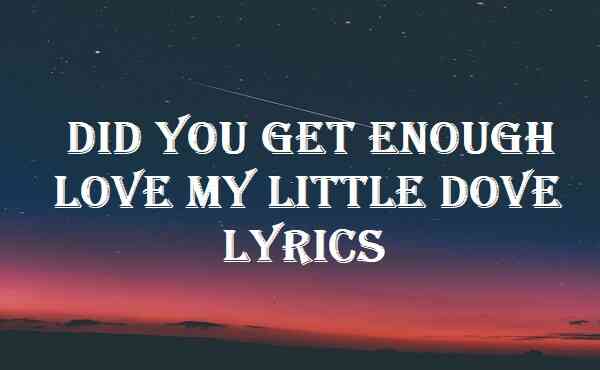 Did You Get Enough Love My Little Dove Lyrics