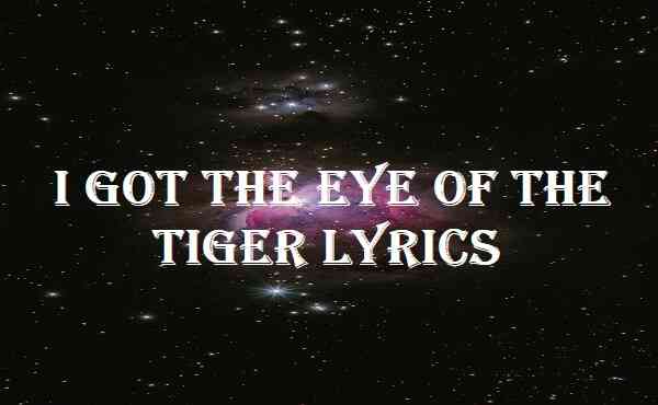 I Got The Eye Of The Tiger Lyrics