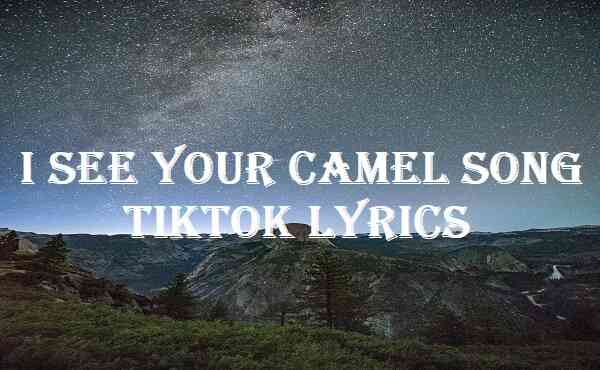 I See Your Camel Song Tiktok Lyrics