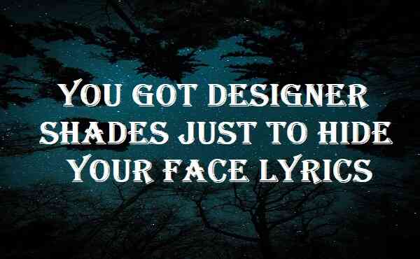 You Got Designer Shades Just To Hide Your Face Lyrics