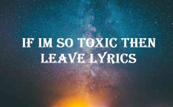 If Im So Toxic Then Leave Lyrics