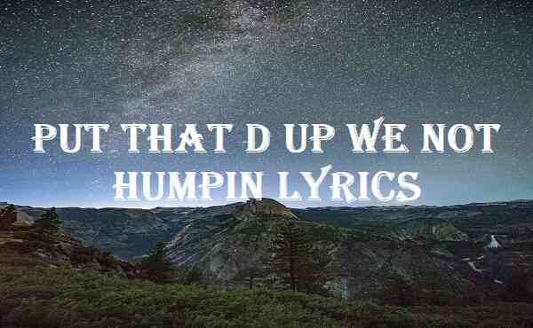 Put That D Up We Not Humpin Lyrics
