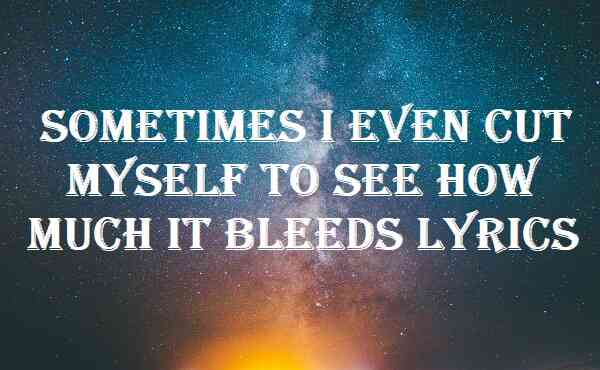 Sometimes I Even Cut Myself To See How Much It Bleeds Lyrics