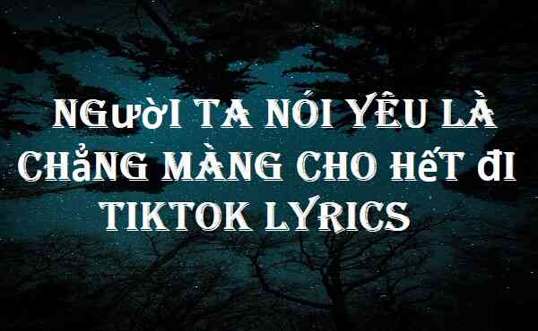 Người Ta Nói Yêu Là Chẳng Màng Cho Hết đi Tiktok Lyrics