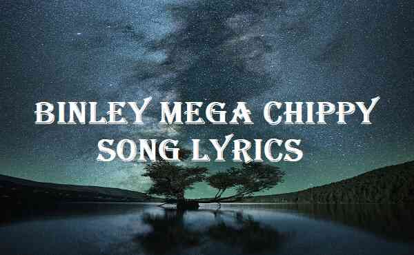 Binley Mega Chippy Song Lyrics