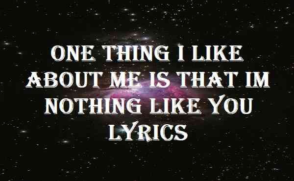 One Thing I Like About Me Is That Im Nothing Like You Lyrics