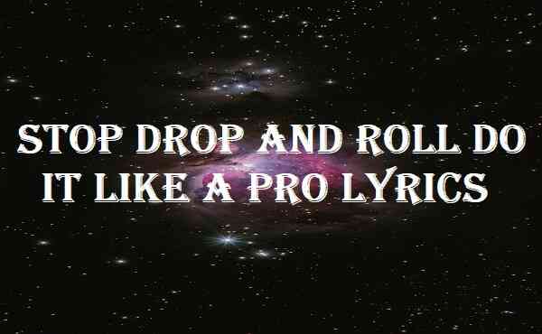 Stop Drop And Roll Do It Like A Pro Lyrics