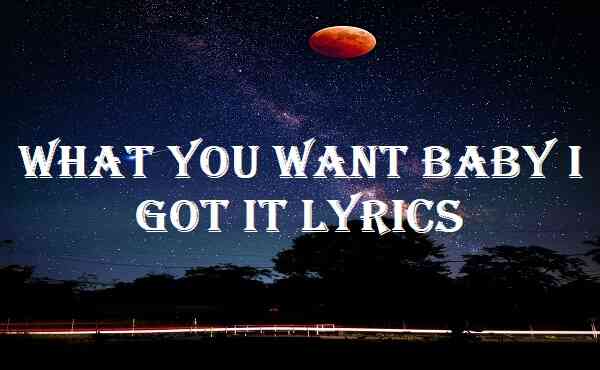 What You Want Baby I Got It Lyrics