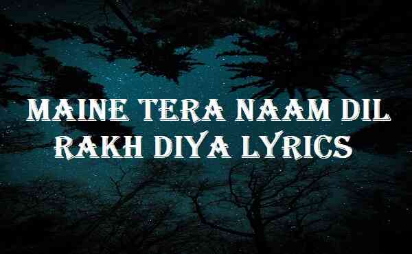 Maine Tera Naam Dil Rakh Diya Lyrics