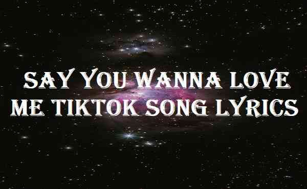 Say You Wanna Love Me Tiktok Song Lyrics